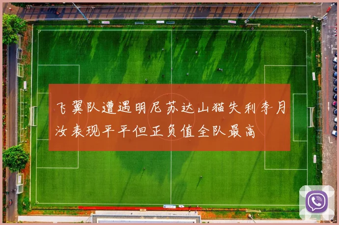 飞翼队遭遇明尼苏达山猫失利李月汝表现平平但正负值全队最高